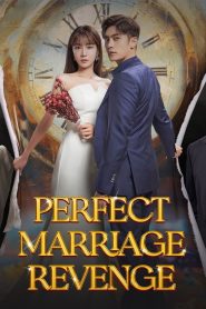 Perfect Marriage Revenge: Season 1