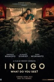 Indigo 2023 HD