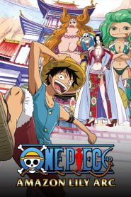 One Piece: Season 12