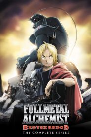 Fullmetal Alchemist: Brotherhood: Season 1