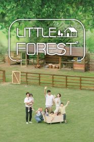 Little Forest (2019)