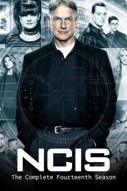 NCIS: Season 14