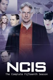 NCIS: Season 15