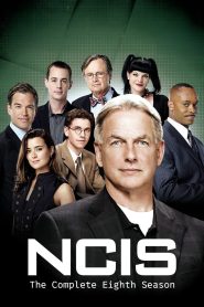 NCIS: Season 8