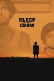 Sleep of the Crow (2023)