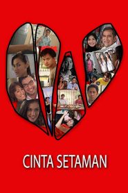 Cinta Setaman (2008)