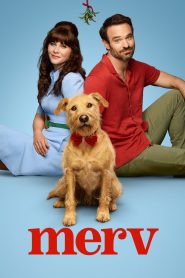 Merv (2025)