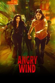 Angry Wind (2025)