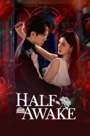 Half-awake (2026)